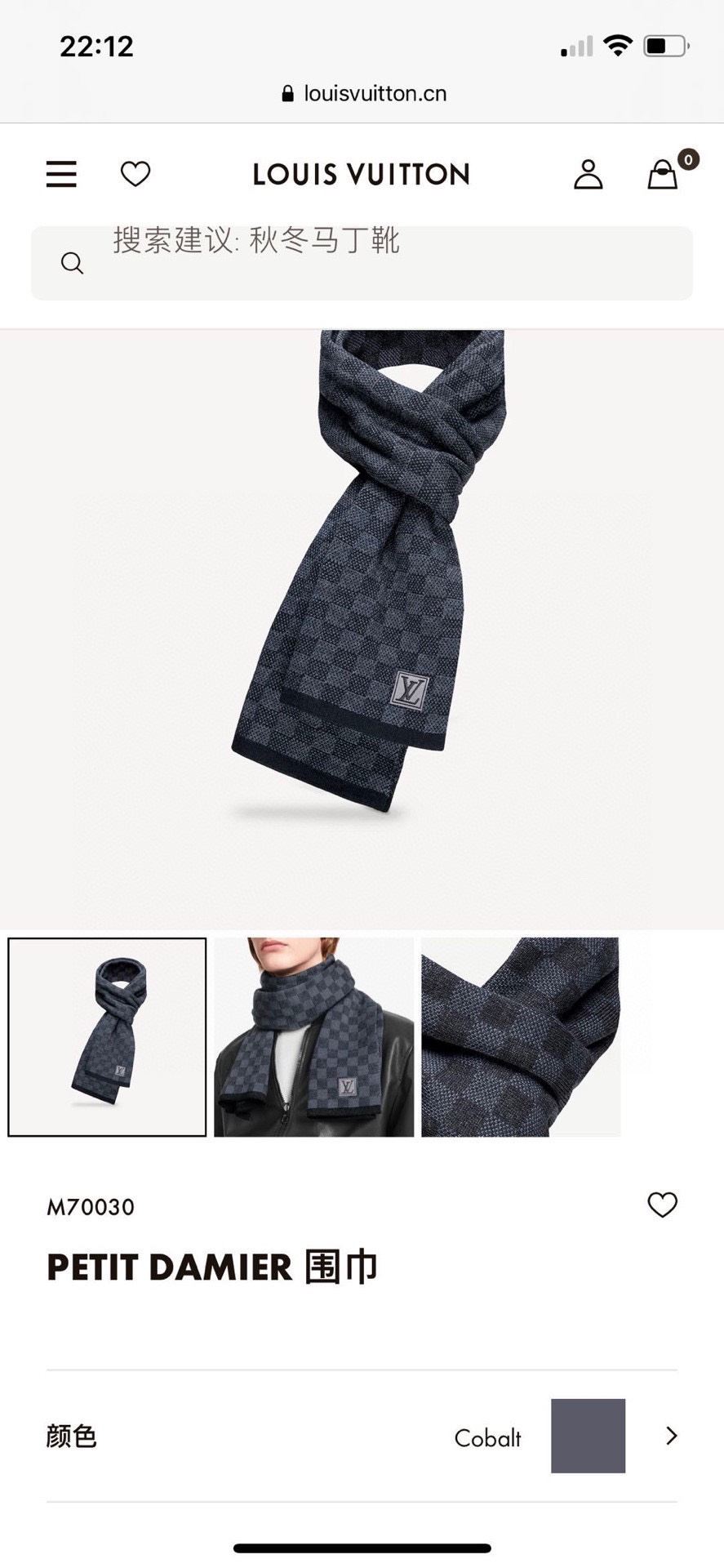 Louis Vuitton Scarf